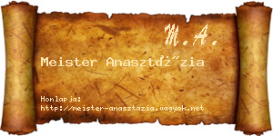 Meister Anasztázia névjegykártya